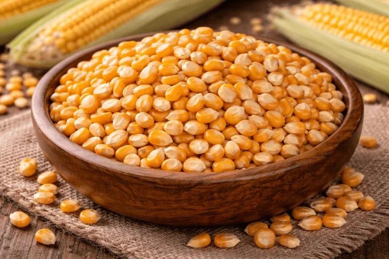Selected Maize Varieties