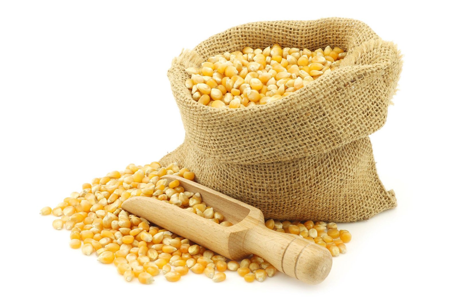 Industrial Grade Maize